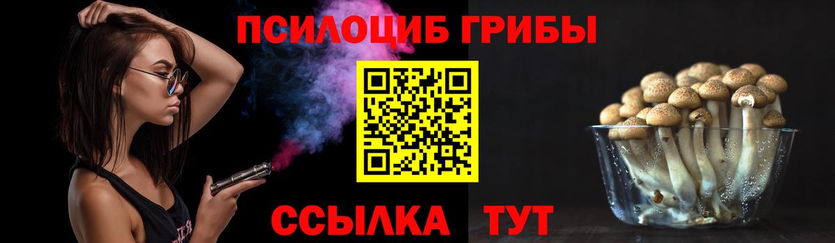 Галлюциногенные грибы мицелий  Вход с VPN  Мурино 